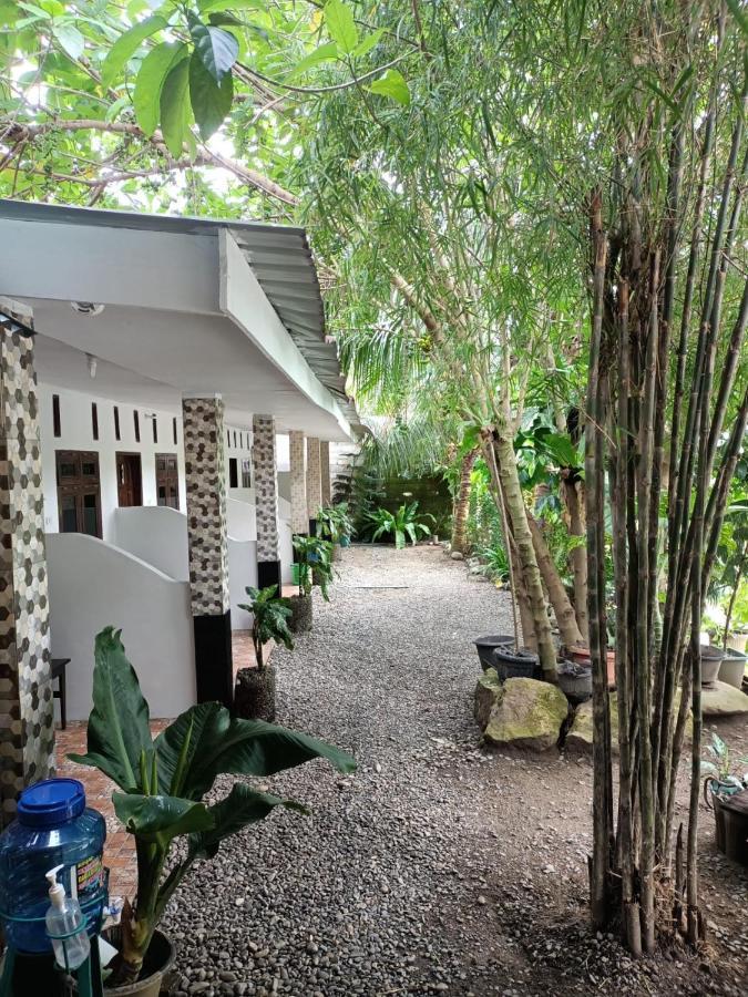 Brown Bamboo Guest House & Trekking บูกิตลาวัง ภายนอก รูปภาพ