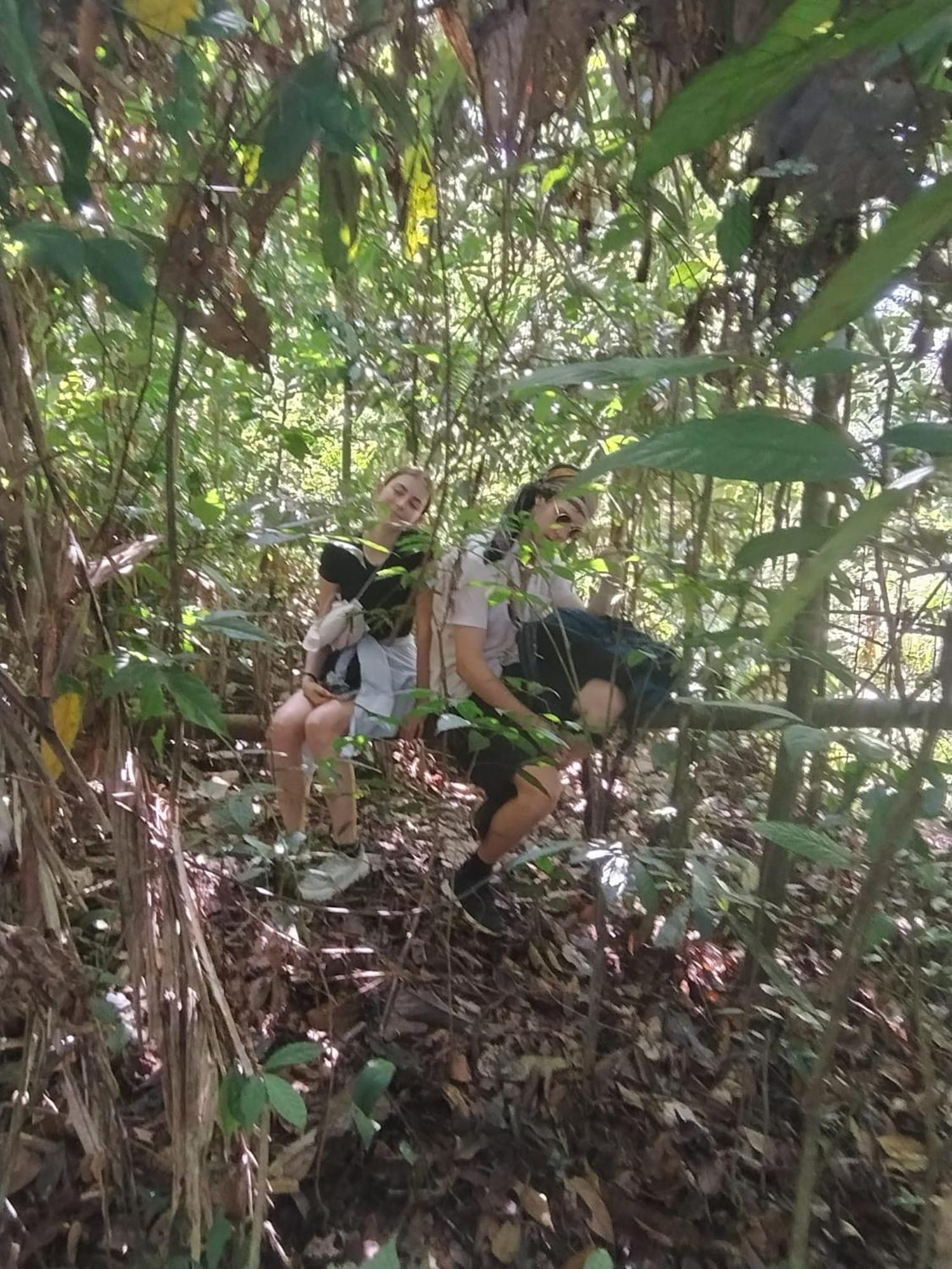 Brown Bamboo Guest House & Trekking บูกิตลาวัง ภายนอก รูปภาพ